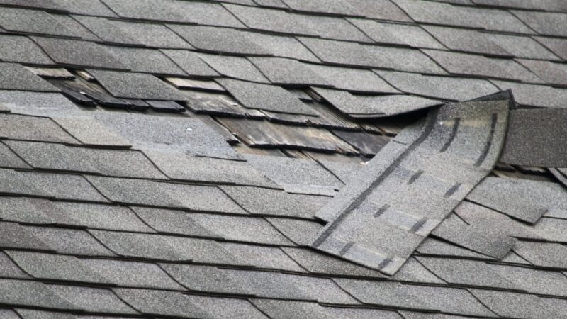 Damaged Roof Shingles