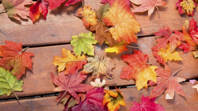 Fall Leaves on Deck