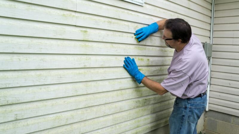 Dirty Siding On House