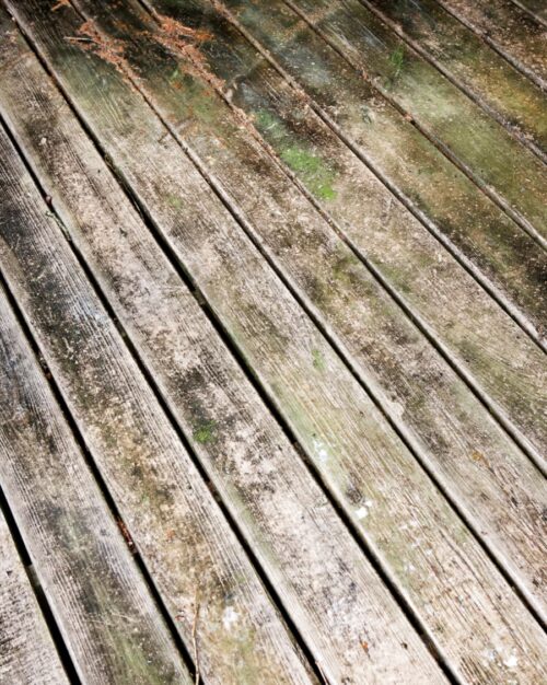 When Mold and Mildew Occur in Your Deck