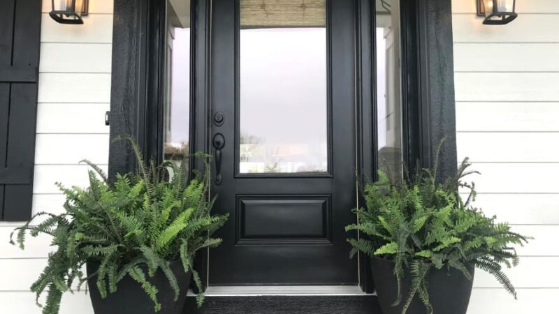 Black Front Door With Two Large Ferns