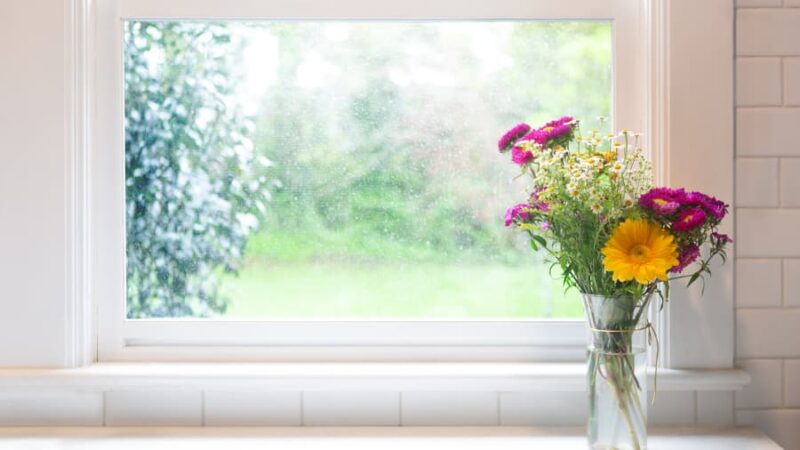Vase of flowers in front of window