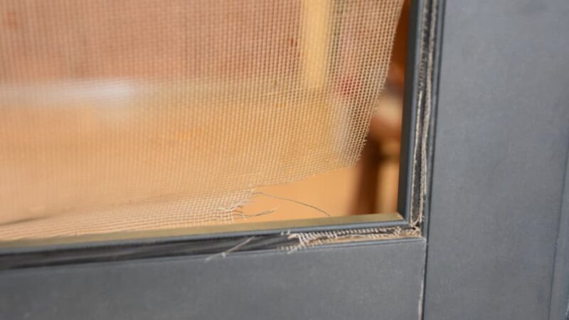 Torn corner of screen door