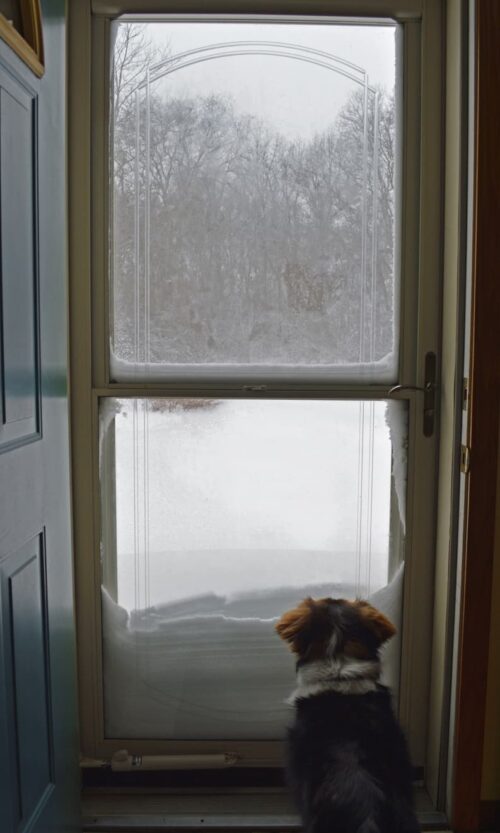 Do I Need a Storm Door?