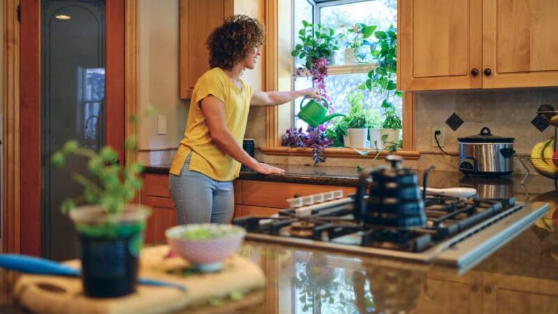 Homeowner watering plants placed in garden window in kitchen