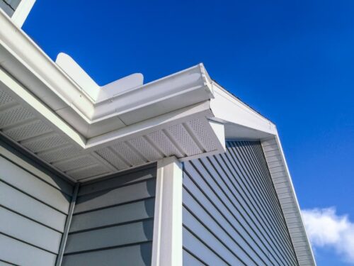 Vinyl Siding Choices: Which Is Right for You?