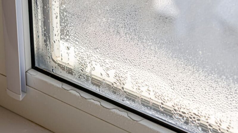 Close-up image of condensation droplets forming on window